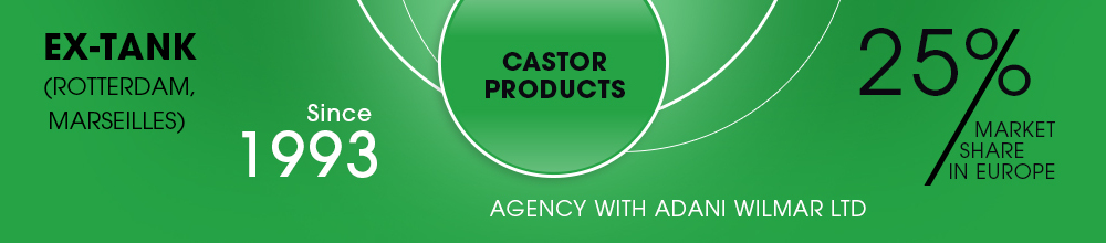 Castor